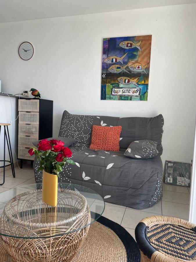 Appartement T2, Climatise, Wifi, Parking Et Piscine Prives Sète Exterior foto